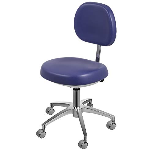 Happybuy Dental Medical Chair for Dentist Doctor Stool Adjustable Mobile Chair PU Leather (Blue)