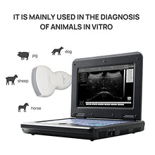 Load image into Gallery viewer, CONTEC CMS600P2 Vet Veterinary,Portable Laptop B-Ultrasound Scanner Machine for Horse/Equine/Sheep Big Animal Use Newest (Convex Probe)
