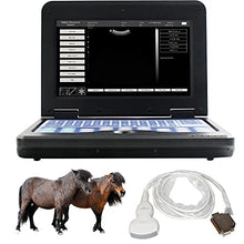 Load image into Gallery viewer, CONTEC CMS600P2 Vet Veterinary,Portable Laptop B-Ultrasound Scanner Machine for Horse/Equine/Sheep Big Animal Use Newest (Convex Probe)
