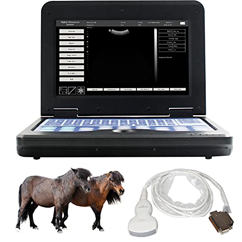 CONTEC CMS600P2 Vet Veterinary,Portable Laptop B-Ultrasound Scanner Machine for Horse/Equine/Sheep Big Animal Use Newest (Convex Probe)