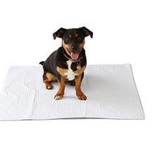 Load image into Gallery viewer, Medline - MDTR1227073AZ Softnit 300 Washable Underpads, Pack of 4 Large Bed Pads, 34&quot; x 36&quot;, For use as incontinence bed pads, reusable pet pads, great for dogs, cats, and bunny
