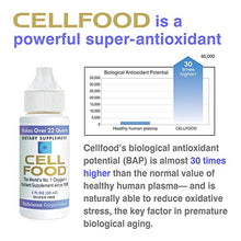 Load image into Gallery viewer, Cellfood Liquid Concentrate, 1 oz. - Original Oxygenating Immune Support Formula - Seaweed Sourced Minerals, Enzymes, Amino Acids, Electrolytes - Gluten Free, Non-GMO, Certified Kosher
