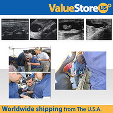 Load image into Gallery viewer, Portable Ultrasound Scanner Veterinary Pregnancy V16 with 7.5 MHz Rectal Probe for Cattle, Horse, Camel, Equine and Cow.
